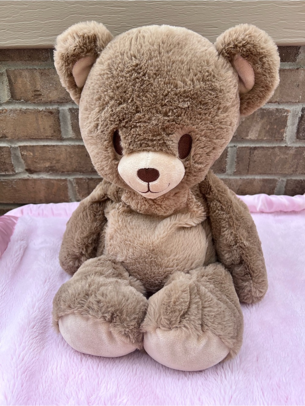Build a Bear Weighted Heartwarming Huge Bear NWOT
